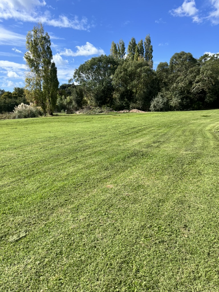 Jardin après intervention
