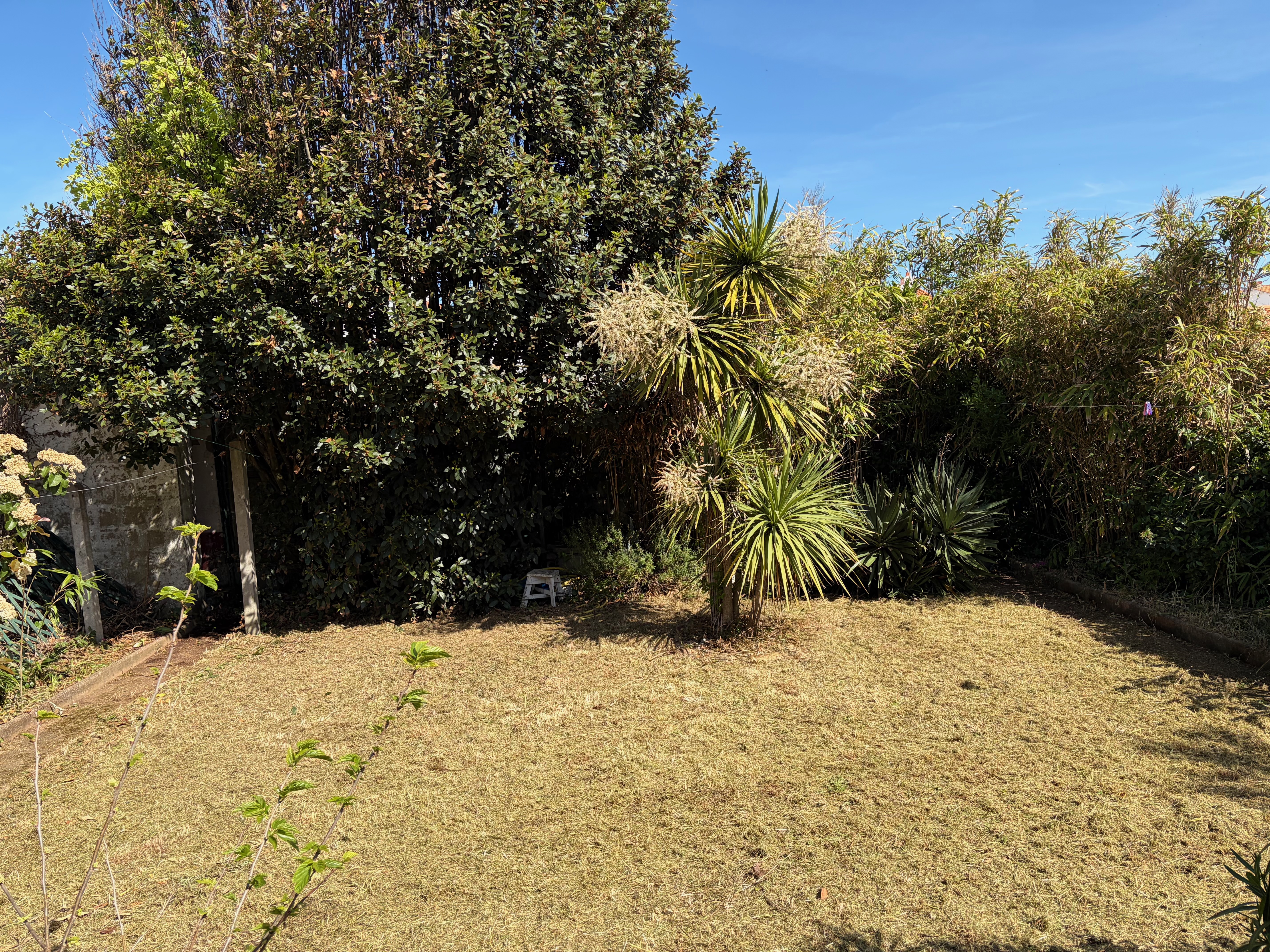 Jardin après intervention